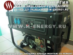 Дизель-генератор TSS SDG 4500 EH